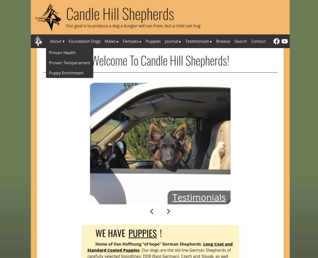 candlehill-shepherds -image-1